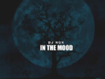DJ NGK – Am In The Mood (Afro Drum Mix)
