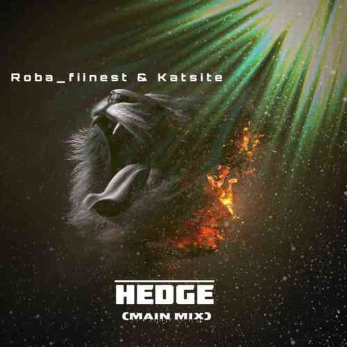 Roba Fiinest & Katsite – Hedge (Main Mix)