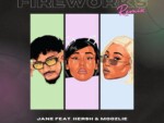 Jane – Fireworks (Remix) ft. Hersh & Moozlie
