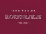 Busta 929 – Ngixolele (ShabZi Madallion Remix) ft. Boohle