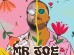 Mr Joe – Stranger (Extended Mix) ft. Mavathii
