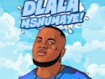Shazmicsoul – Dlala Mshumaye Ft. CowBoii